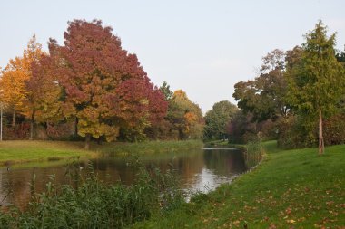 Autumn foliage along dutch watercourse clipart