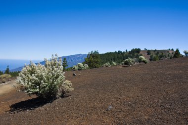 la palma, İspanya, ıssız peyzaj