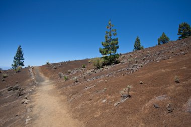 Hiking trail through desolate volcanic landscape clipart