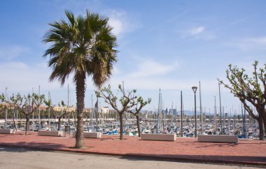 View at olympic port of Barcelona clipart