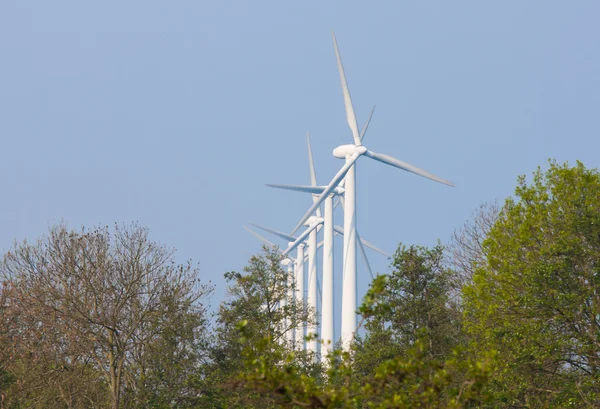 Fila de moinhos de vento atrás de uma floresta — Fotografia de Stock