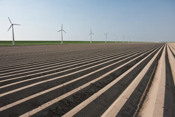 Tierras agrícolas desnudas en los Países Bajos, esperando la primavera — Foto de Stock