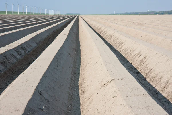 Terreno agricolo nudo nei Paesi Bassi, in attesa della primavera — Foto Stock