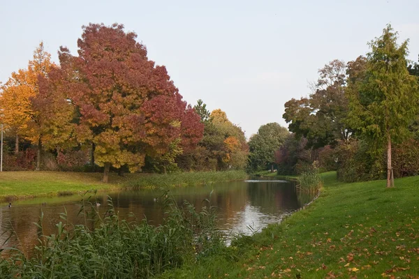 Podzimní listí podél holandský vodní tok — Stock fotografie