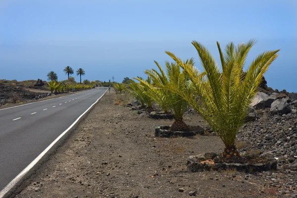 La palma, volkanik manzara ile yeni bir yol — Stok fotoğraf