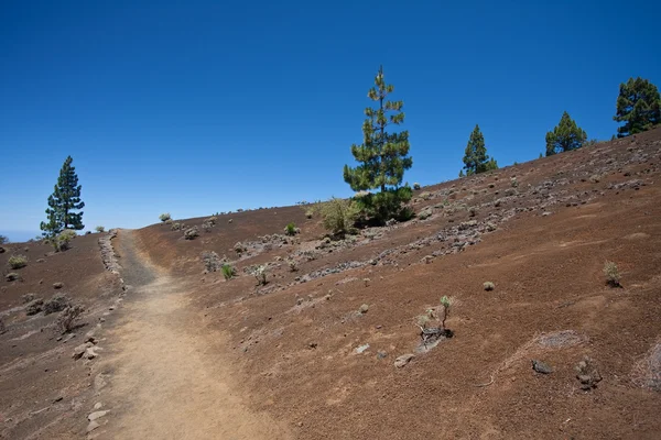 Trilha de caminhadas através da paisagem vulcânica desolada — Fotografia de Stock