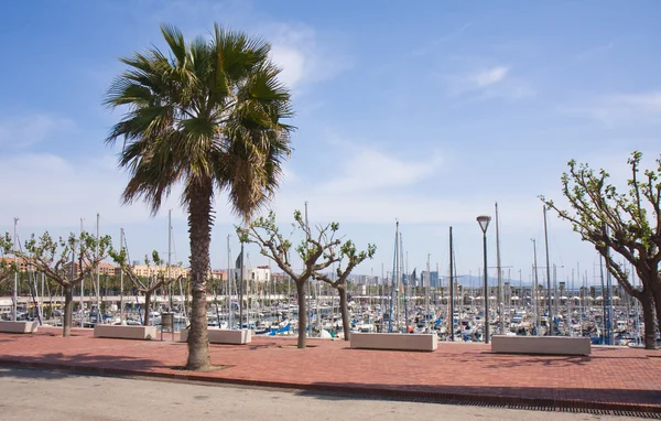 Vista en el puerto olímpico de Barcelona — Foto de Stock