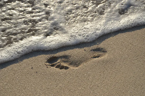 stock image Footprint in the sand