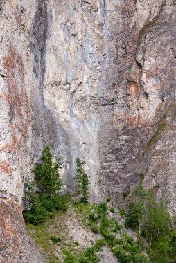 rock mambet kıvrımları ağaçlarda. zilim nehir. Güney Urallar