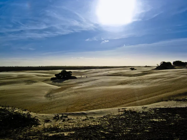 沙漠日落时分 — 图库照片
