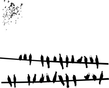 Silhouettes of Birds on wires clipart