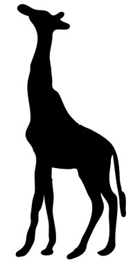 Giraffe clipart