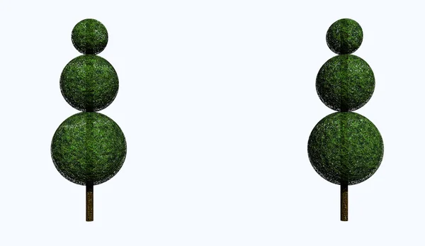 3D деревья — стоковое фото