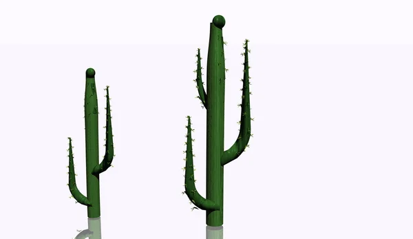 Cactus illustration — Stock Photo, Image