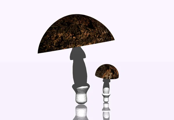 Лісових грибів — стокове фото