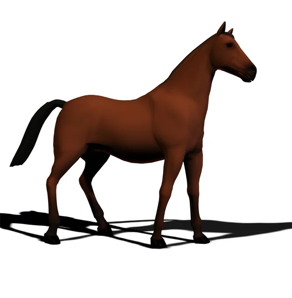 Pferd auf weiß — Stockfoto