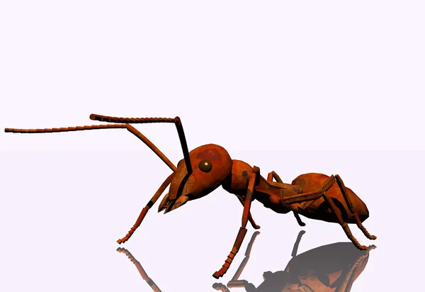 3D mravenec — Stock fotografie
