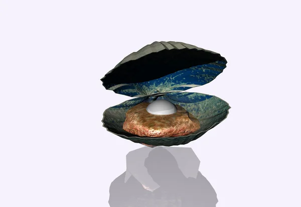 Weiße Perle in einer Schale — Stockfoto
