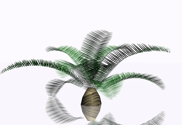 Maison 3D plante — Photo