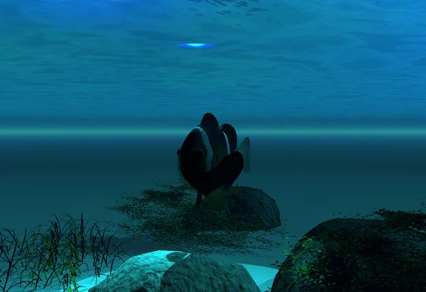 海底の背景 — ストック写真