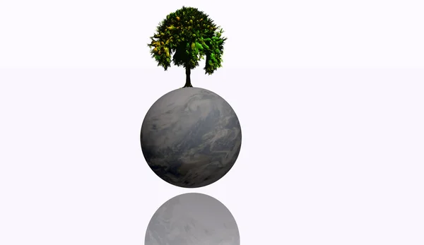 Träd på jorden — Stockfoto