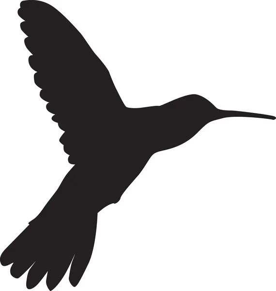 Sinekkuşu — Stok fotoğraf
