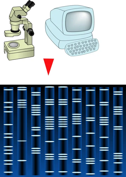 DNA analizi bilgisayar