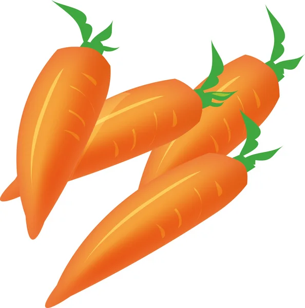 Carrot vegetable — Stock Photo, Image