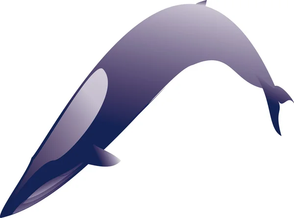 Ilustração da baleia — Fotografia de Stock