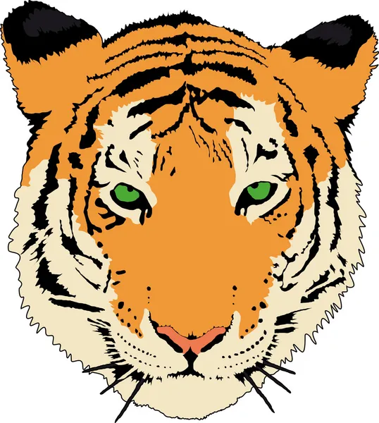 Tigerkopf — Stockfoto