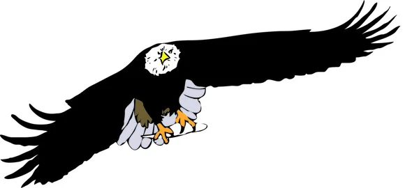 Ilustração da águia — Fotografia de Stock