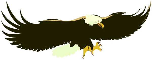 Illustration d'aigle — Photo