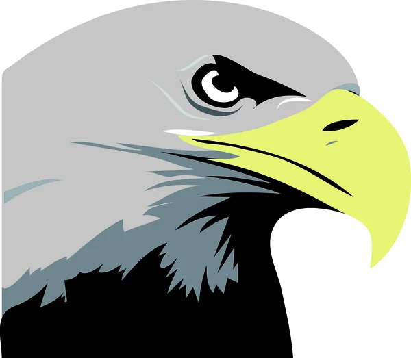 Eagle illustration — Stock Photo, Image
