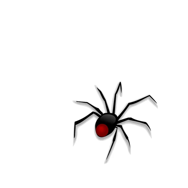 Araña negra — Foto de Stock