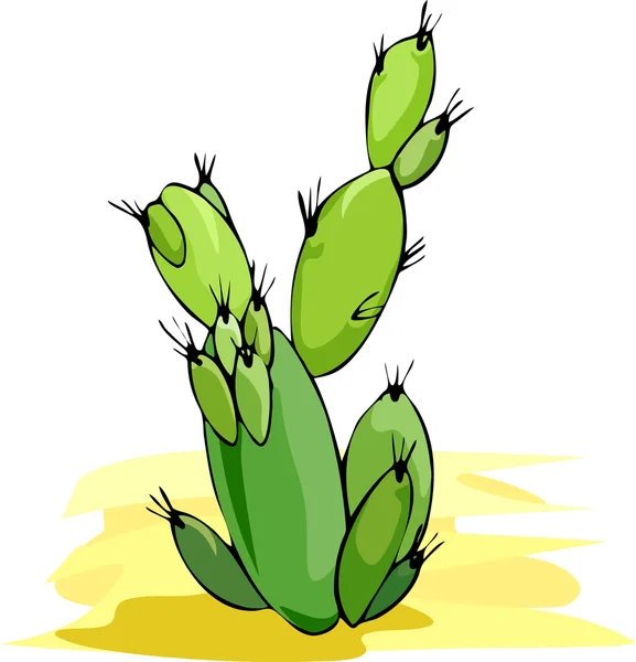 Иллюстрация кактуса — стоковое фото