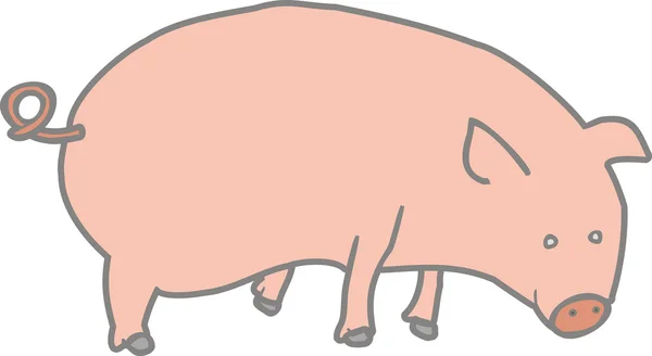 Иллюстрация свиньи — стоковое фото