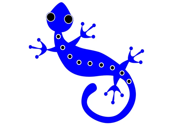 Синяя ящерица — стоковое фото
