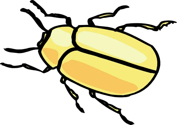 Guld-scaraben — Stockfoto