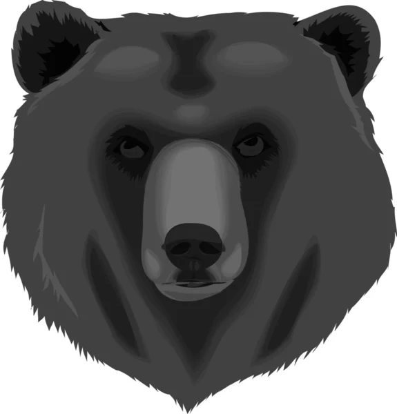 Niedźwiedź Grizzly — Zdjęcie stockowe