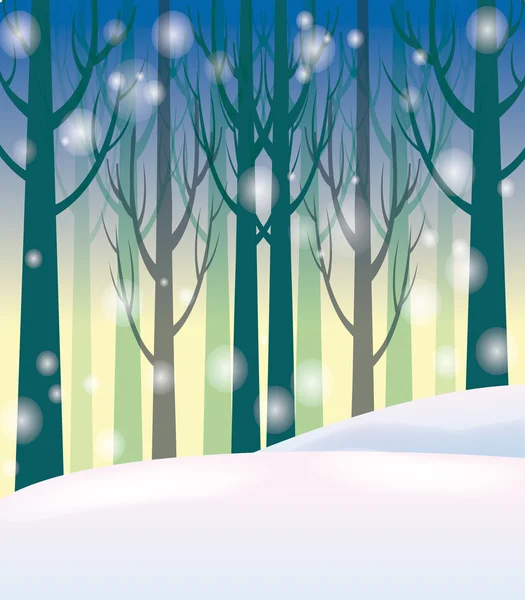 Forêt en hiver — Fotografia de Stock