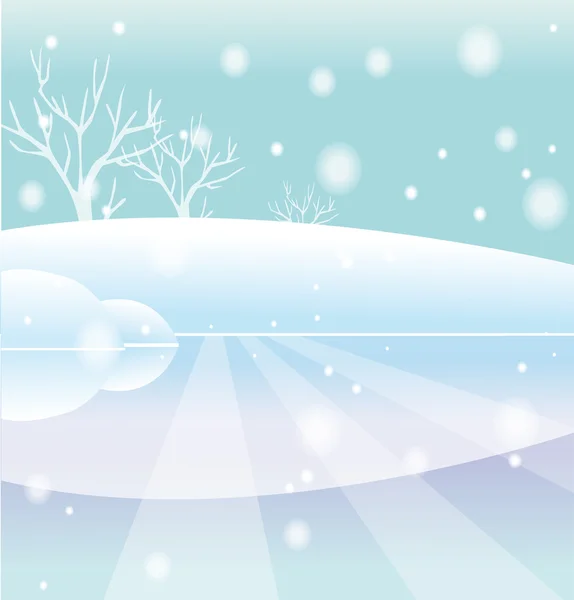 Forét en hiver — Stockfoto