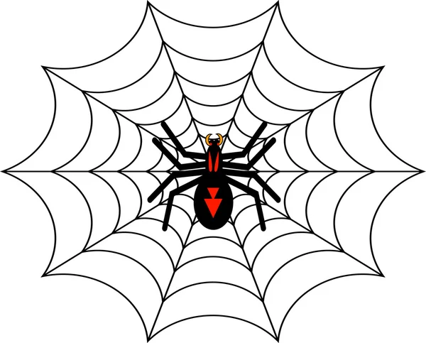 Czarny pająk — Zdjęcie stockowe