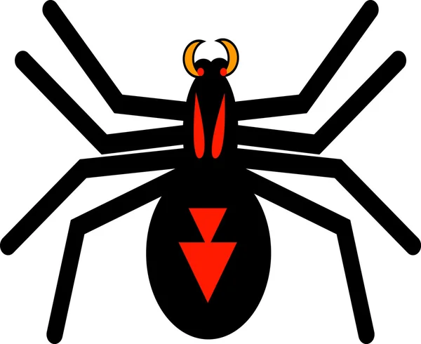 Чорний павук — стокове фото