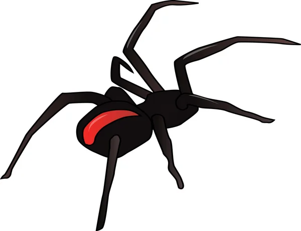 Siyah örümcek — Stok fotoğraf