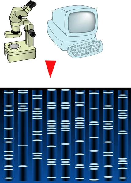 Számítástechnikai DNS-elemzés Stock Fotó