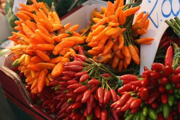 stock image Orange and red fresh hot chilli pepper