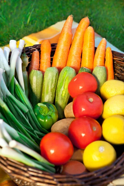 Cosecha de verduras frescas en una cesta —  Fotos de Stock