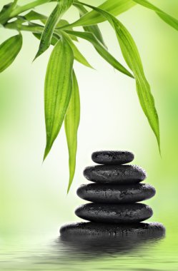 Zen basalt stones and bamboo clipart