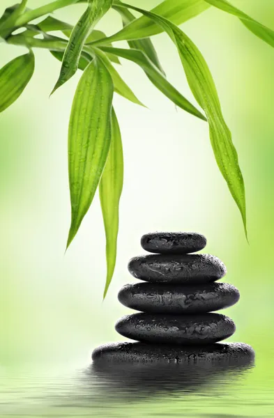 Zen basalt stenen en bamboe — Stockfoto