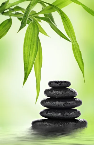 Zen basalt stones and bamboo Royalty Free Stock Images